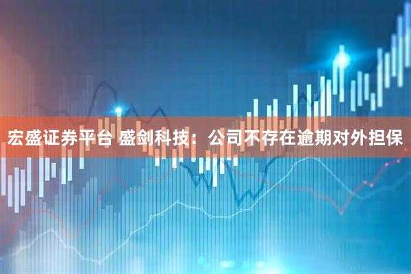 宏盛证券平台 盛剑科技：公司不存在逾期对外担保