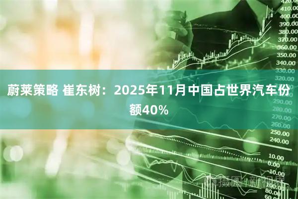 蔚莱策略 崔东树：2025年11月中国占世界汽车份额40%