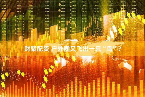财聚配资 户外圈又飞出一只“鸟”？