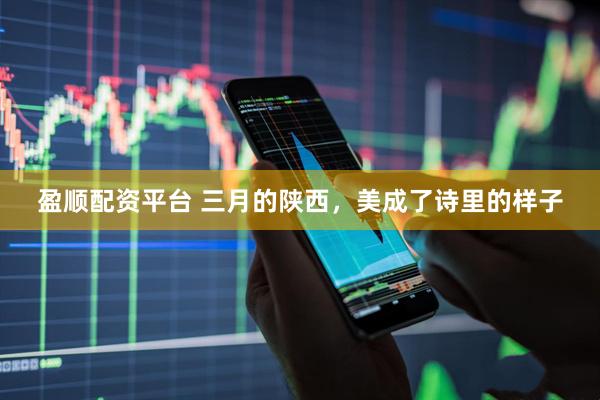 盈顺配资平台 三月的陕西，美成了诗里的样子